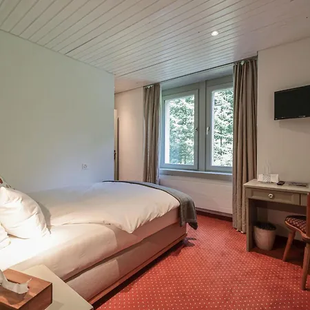 Seehof-arosa Hotel 3*