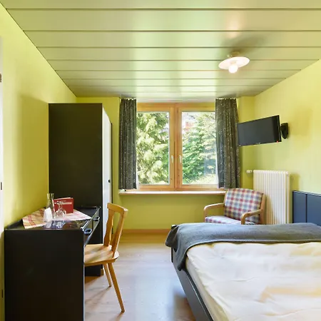 Seehof-arosa 3* アローザ