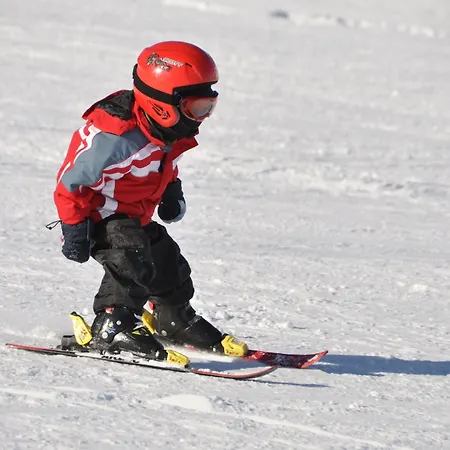 Seehof-arosa ホテル 3*