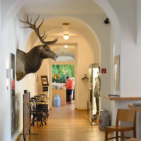 Seehof-arosa Hotell 3*