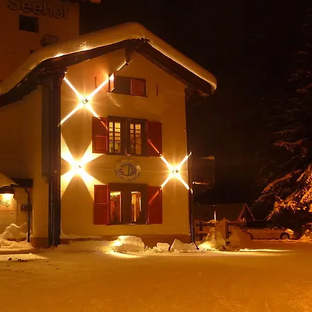 Hotell Seehof-arosa 3*