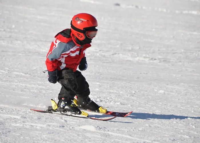 Seehof-arosa Hotel 3*