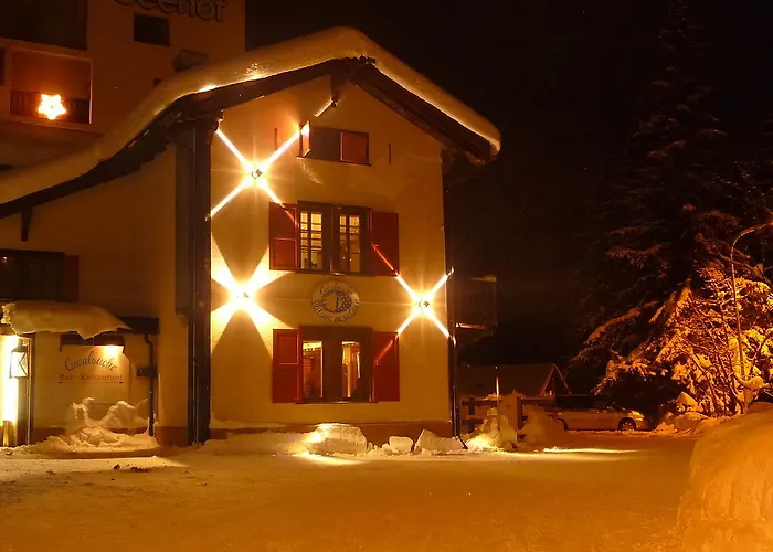 Hotel Seehof-arosa 3*